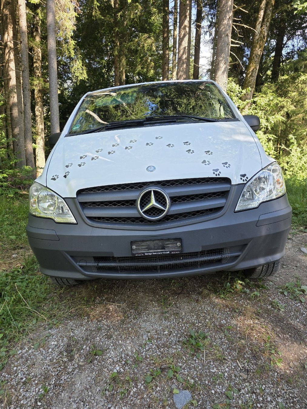 Mercedes-Benz Véhicules utilitaires: Mercedes Vito 116 cdi 4x4 – D'occasion à Rüschegg Heubach par 22baedu