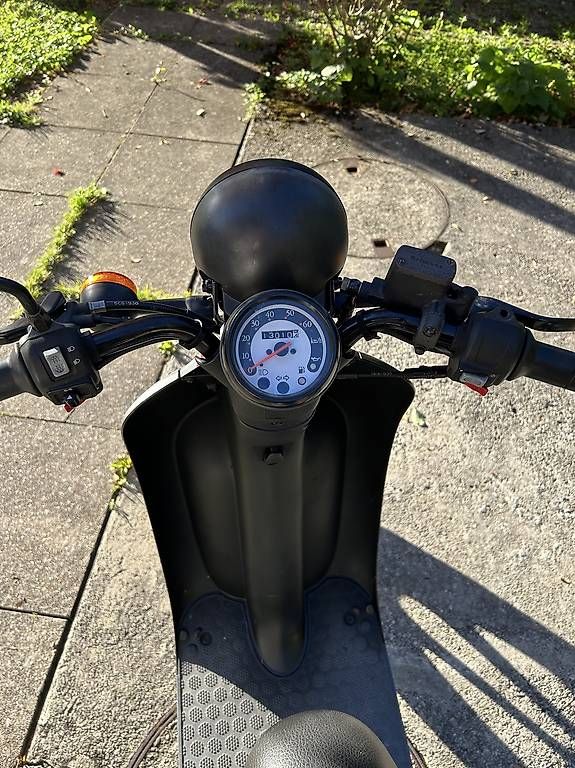 Honda Scooters: Honda SGX Sky 50 – Gebraucht aus Zumikon von pangst 3