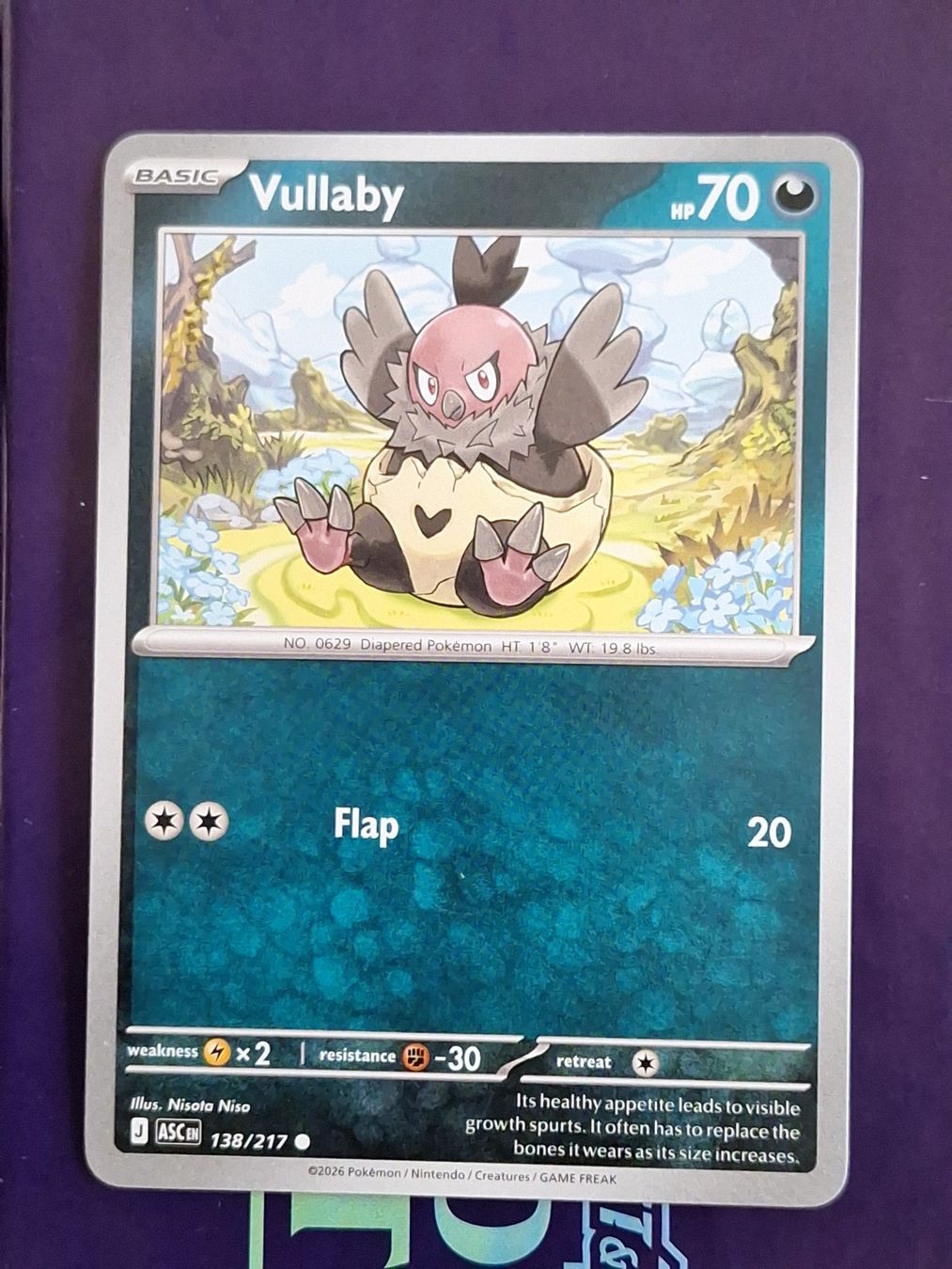 Pokémon Carte collezionabili: Vullaby - Pokemon Ascended Heroes – Usato da Altstätten SG venduto da GGsGameshop