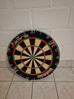 Dartscheibe mit Schutz
