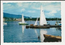 AK 1959 Zürichsee mit Segelbooten