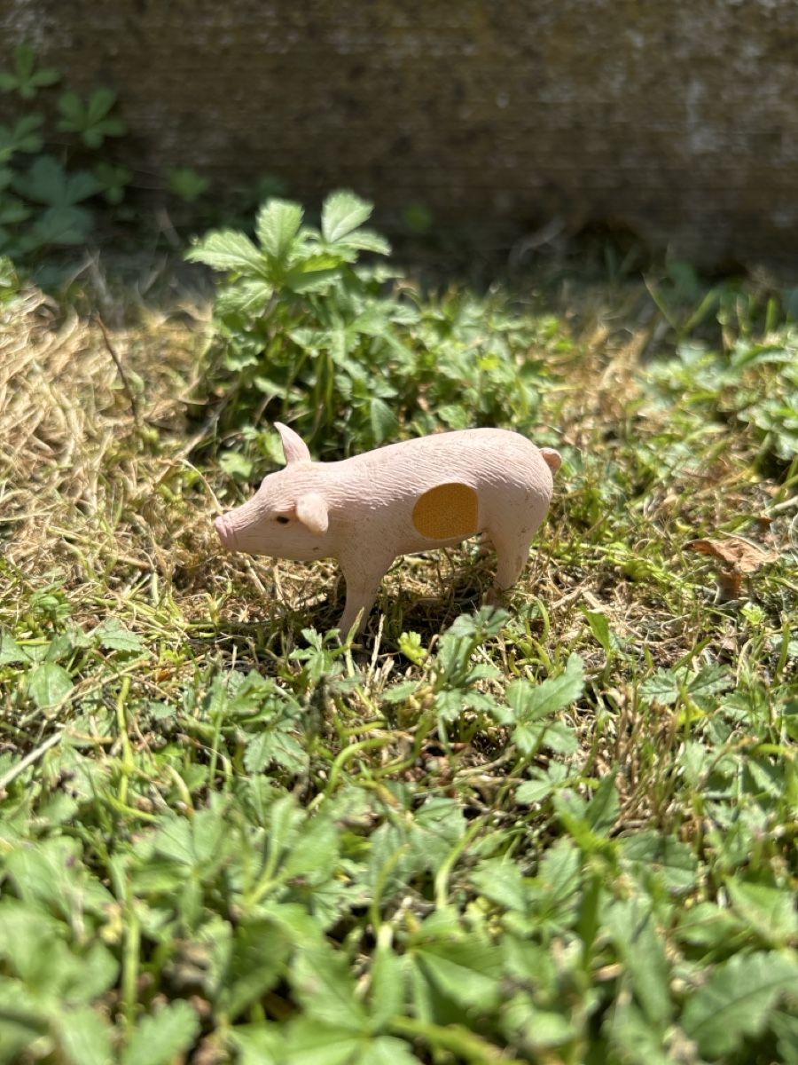 Tiptoi Statuette: Ravensburger tiptoi Figuren – Usato da Widen venduto da Webru80 2