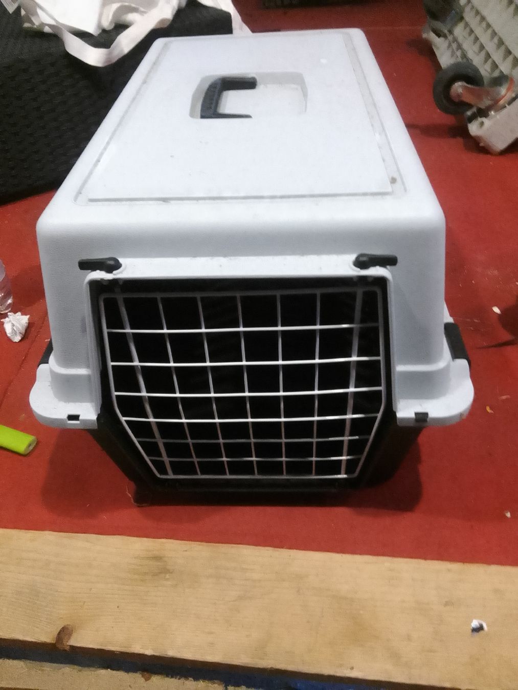 Cages, transport & sécurité: Katzen Transporter – D'occasion à Pfäffikon ZH par milcow 1