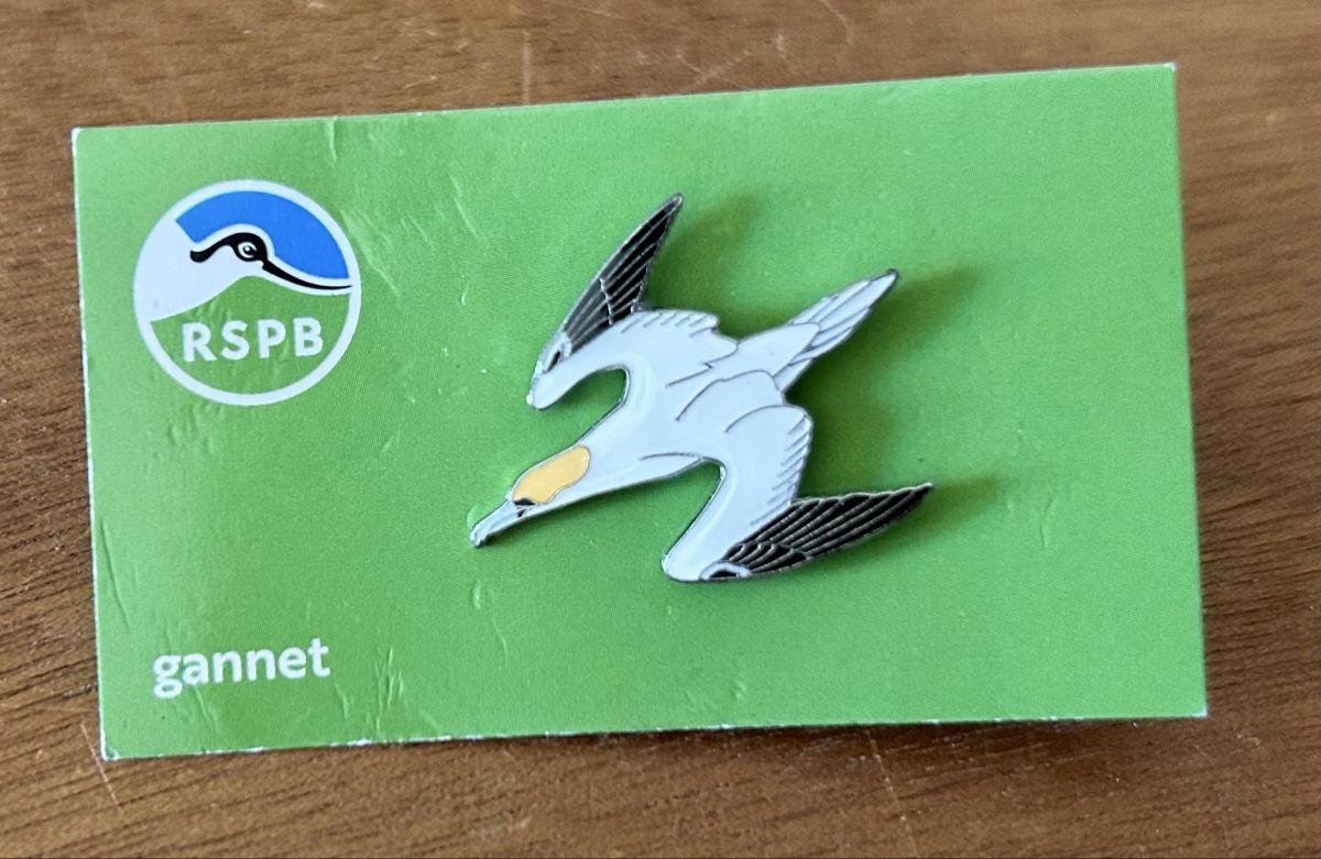 Placchette & Badge: RSPB Pin Basstölpel – Nuovo (secondo la descrizione) da Zürich venduto da ann_9fv5
