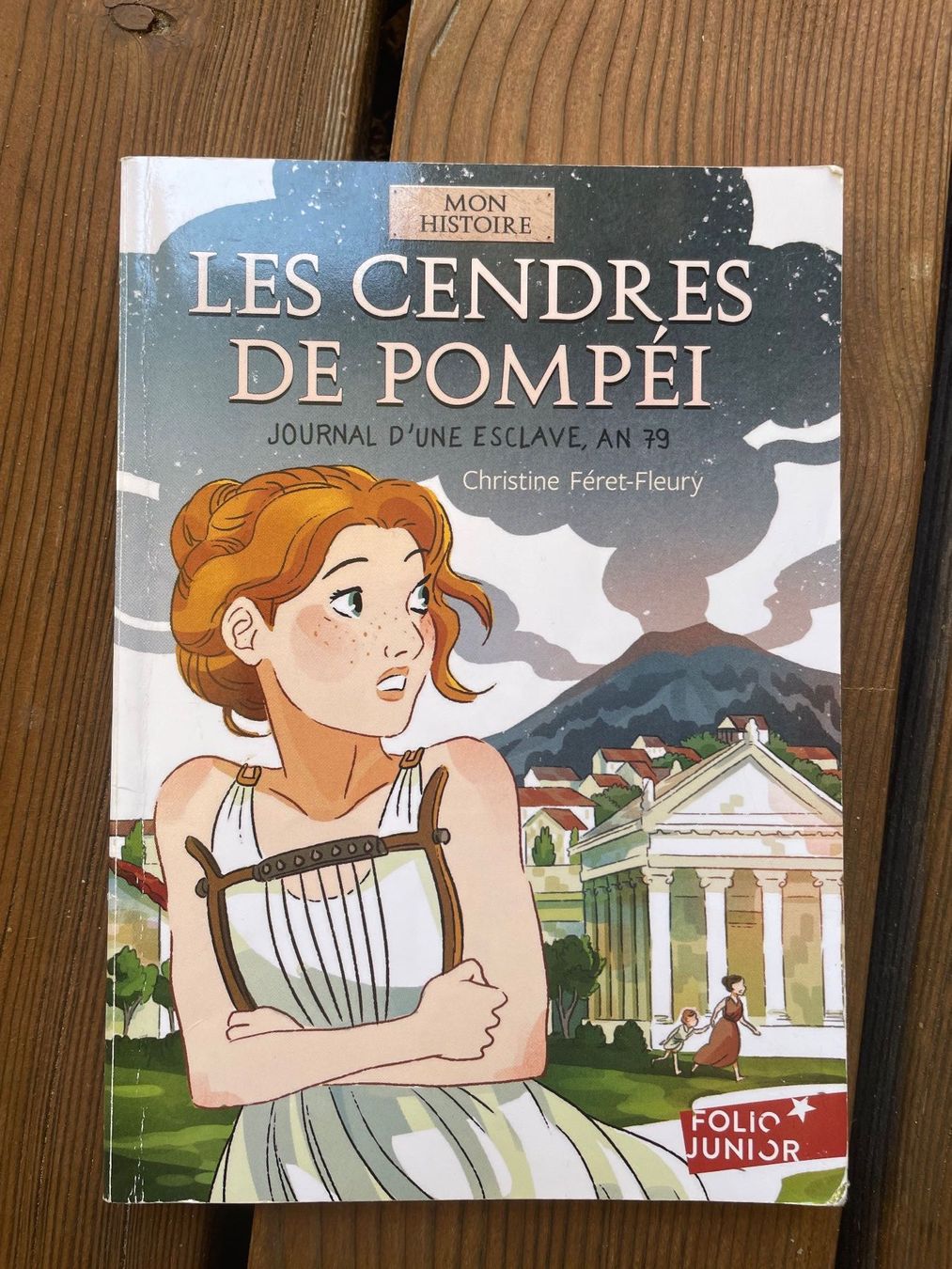Libri: Les Cendres de Pompei – Usato da Bern venduto da cadfarett