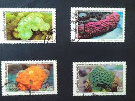 Thailand Korallen 1992
