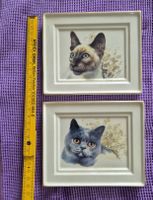 2 Pozellan Katzenbilder