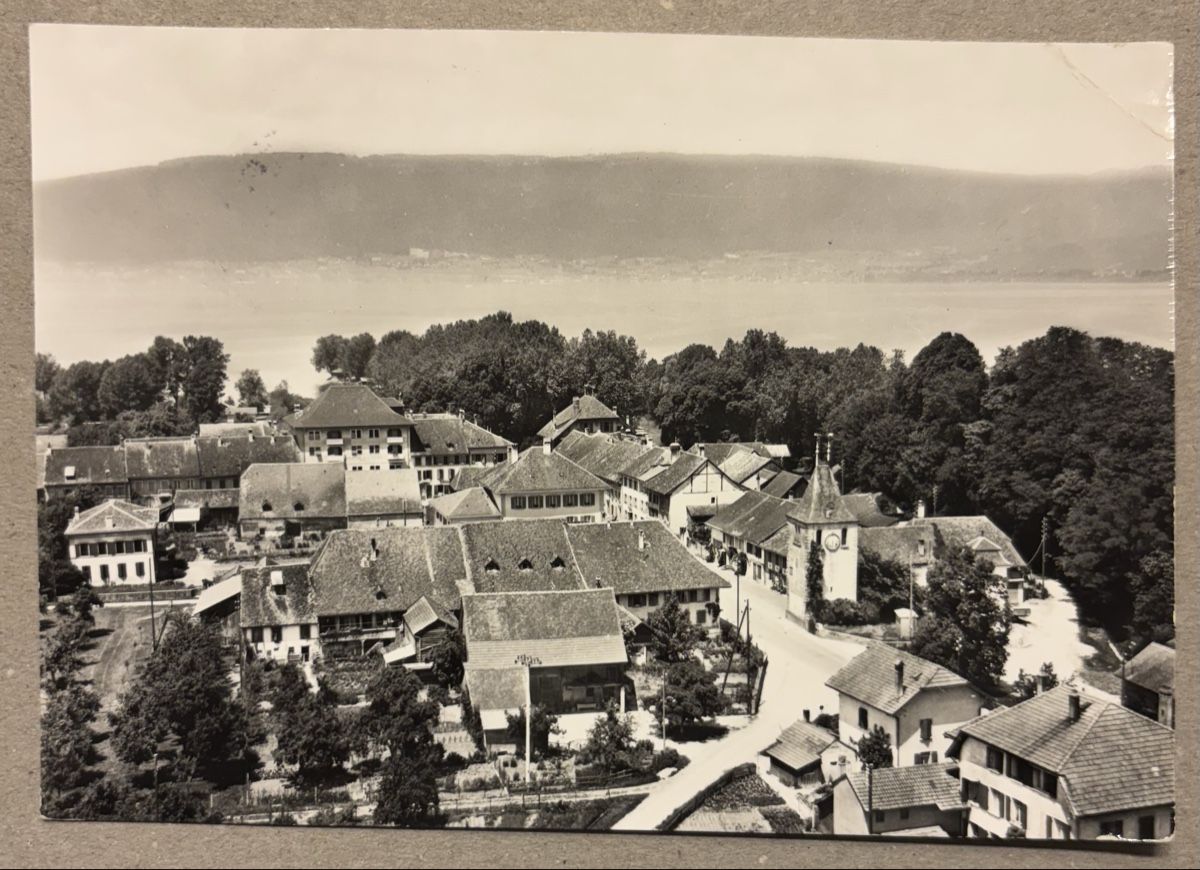 Cartoline postali: Flugaufnahme Cudrefin – Usato da Luzern venduto da Balbel