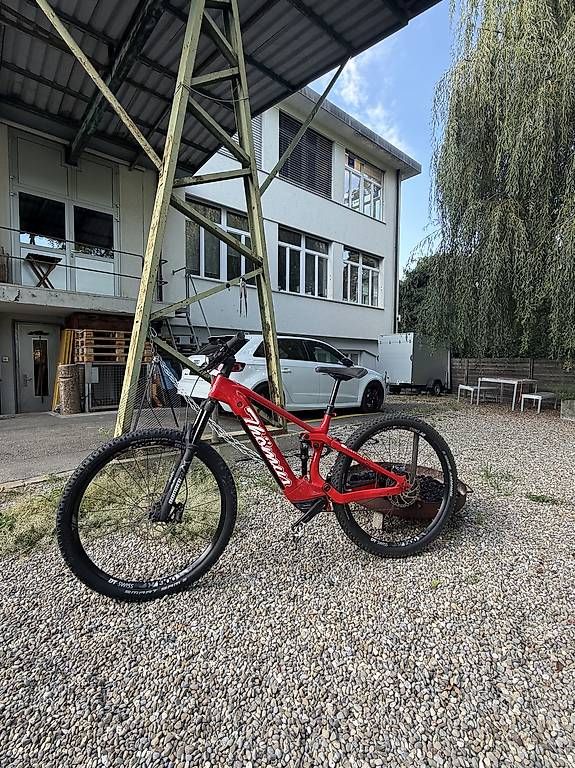 Biciclette: Thömus Lightrider Carbon Grösse L  – Usato da Hallwil venduto da Calimerito0969