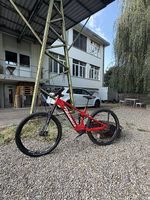 Thömus Lightrider Carbon Grösse L 