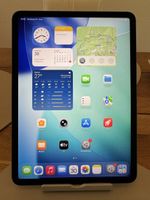 iPad Pro 11 Zoll (1. Generation) – 64 GB – Akku 97 %