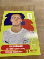 Panini NZL 9