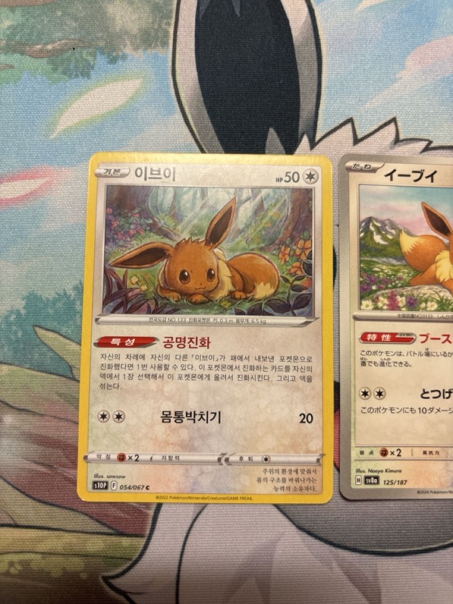 Pokémon Sammelbilder & Trading cards: 3x Pokémon Karten Evoli Korea/Japan – Gebraucht aus Dietikon von PokemonSwissSpotify 1