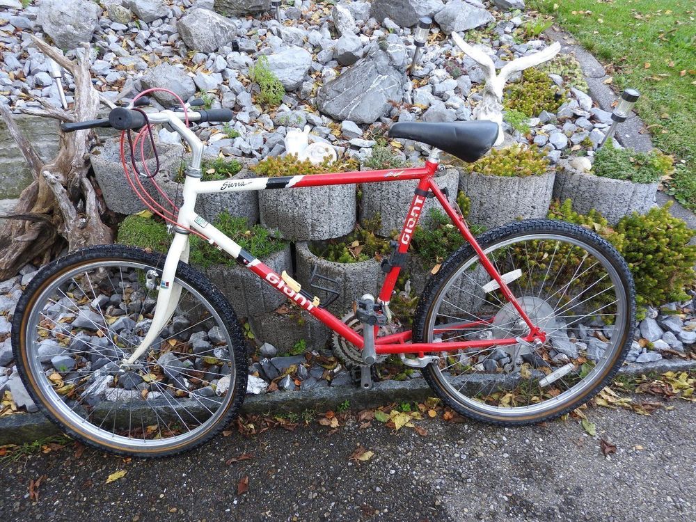 Giant cheap sierra bike