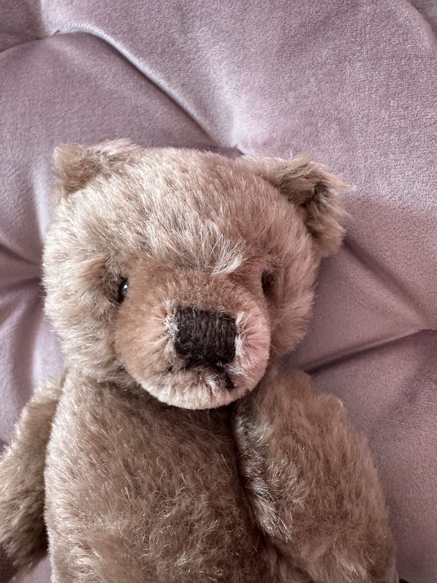 Giocattoli: Steiff Teddy 23 cm – Usato da Herbriggen venduto da Sehrazade 1