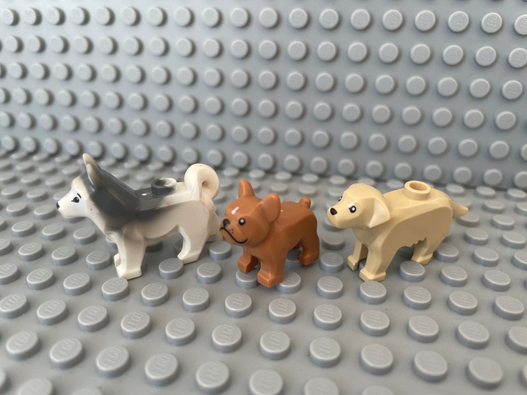 Lego Kit di costruzioni: Lego Tiere - 3 Hunde – Nuovo (secondo la descrizione) da Horw venduto da G39517sG