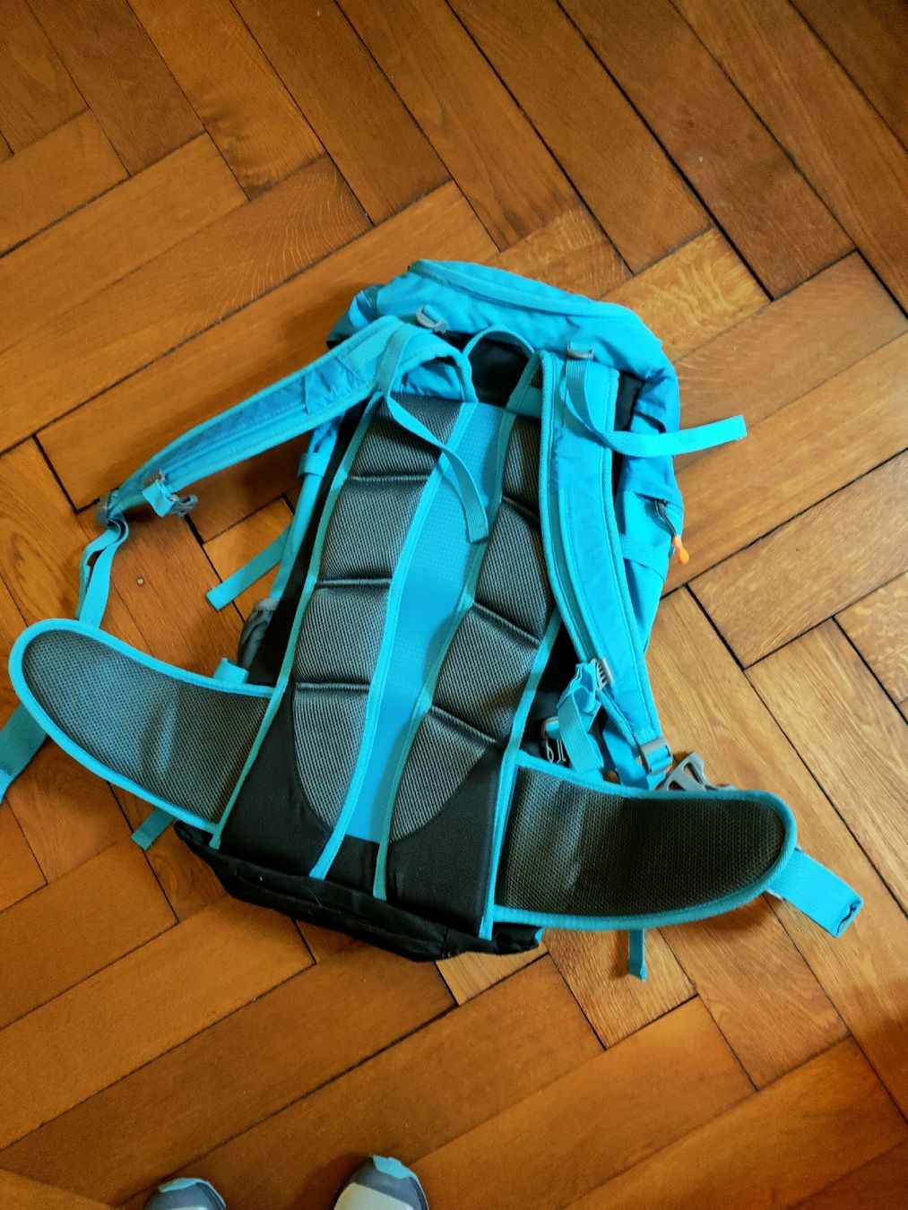Trevolution Zaini: Wanderrucksack Trevolution, Neu, 40 Campo Hellblau – Nuovo (secondo la descrizione) da Russikon venduto da noahn99 1