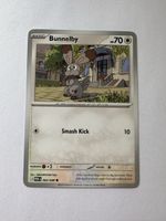 Bunnelby Pokemon POR EN 064