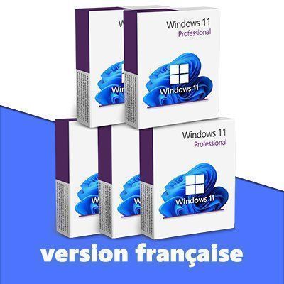 Microsoft Software: Windows 11 Pro (5 Keys) - FR – Usato da Vaduz venduto da KeysDistributionGmbH