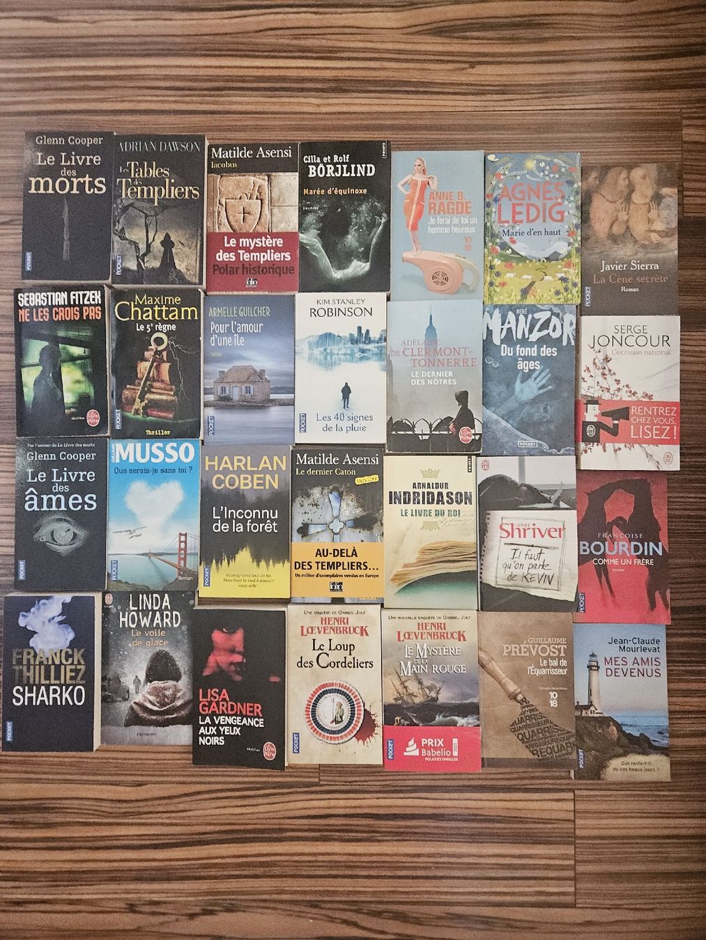 Libri: 85 livres poches & gd format – Nuovo (secondo la descrizione) da Thônex venduto da lacomtessedesfees