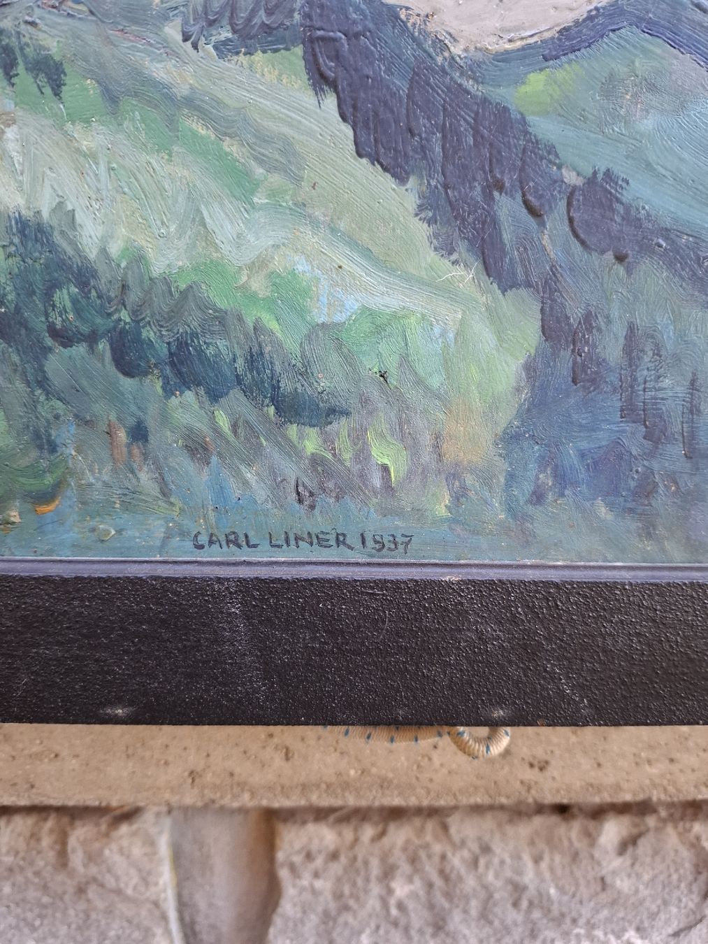 Tableaux: tableau carl liner – D'occasion à Villeneuve par BibiVintage 1