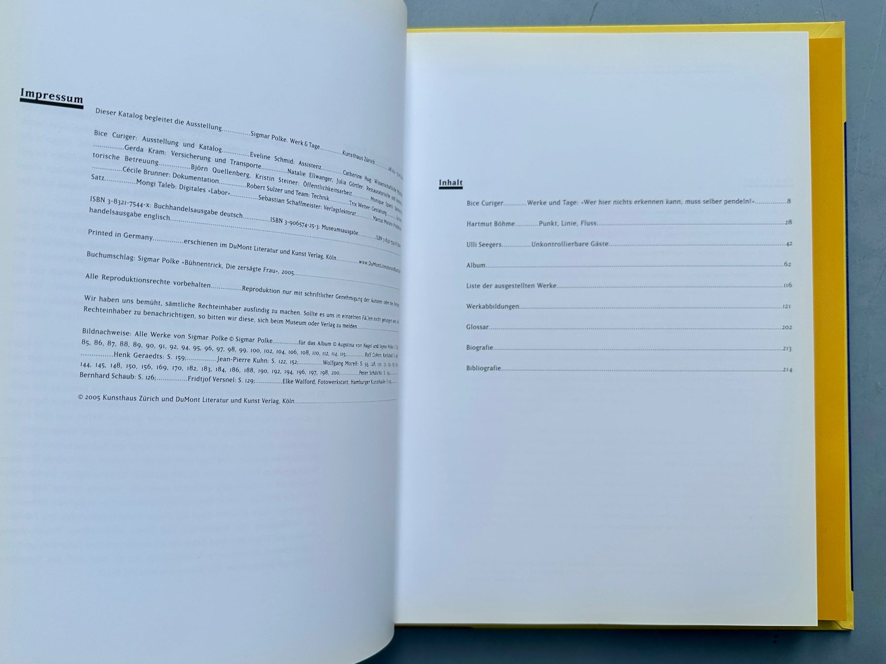 Libri: Bice Curiger: Sigmar Polke. Werke & Tage. – Usato da Zürich venduto da allp 3