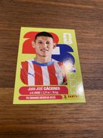 Panini Par 6
