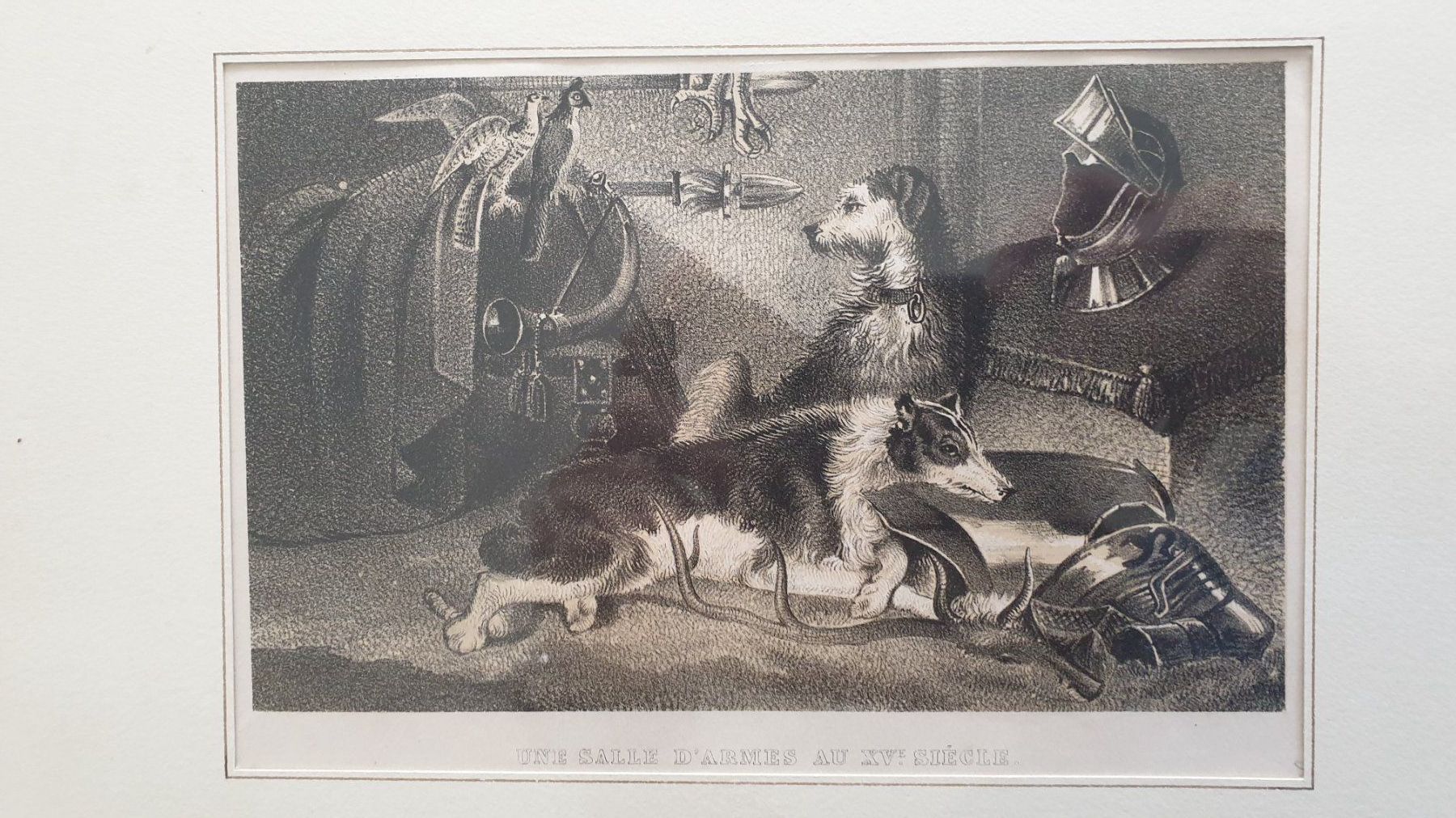 Stiche: Jagdhunde. Kupferstich. 19 Jh. – Gebraucht aus Goldach von armando_r