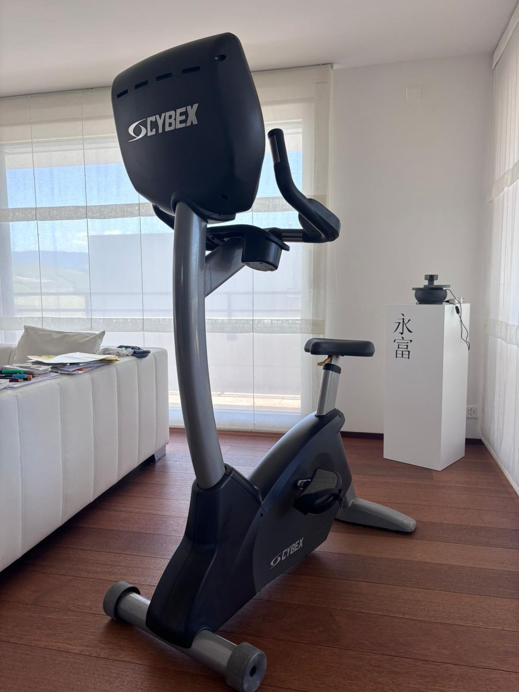 Cybex Hometrainer: Cybex Ergometer / Heimtrainer – Gebraucht aus Zug von BlumundPartner