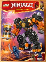 Lego Ninjago Dragons Rising 71806