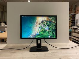Dell P2213f 20.-