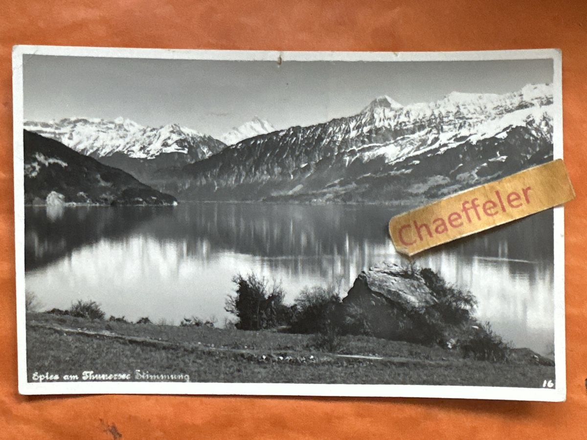 Cartoline postali: Alte Ansichtskarte Spiez am Thunersee. – Difettoso da Zürich venduto da Chaeffeler
