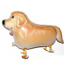 Airwalker Hund Golden Retriever