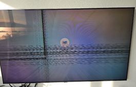 Samsung 75" TV QE75Q8DN defekt - nur für Bastler
