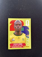 Panini RSA 10
