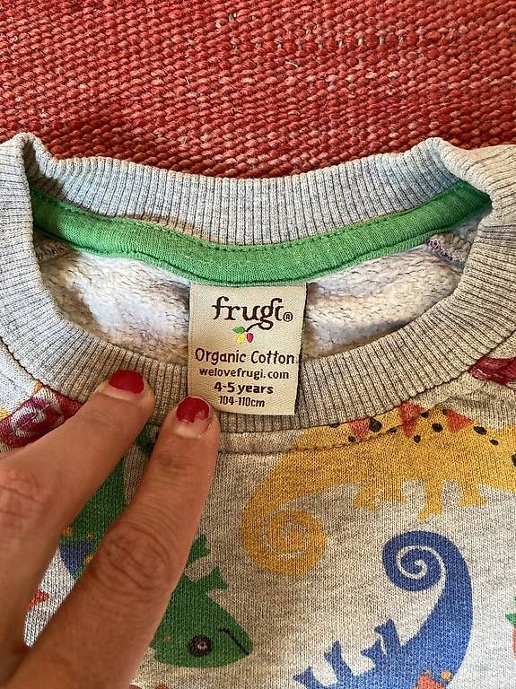 Pullover & Sweatshirts: Frugi Pullover – Gebraucht aus Haldenstein von meladin