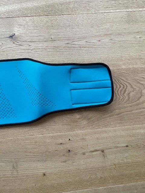Gürtel: Nierengurt (Motorrad) – Gebraucht aus Herisau von ErWi9100 8