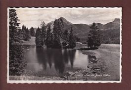 LAC DES JONCS