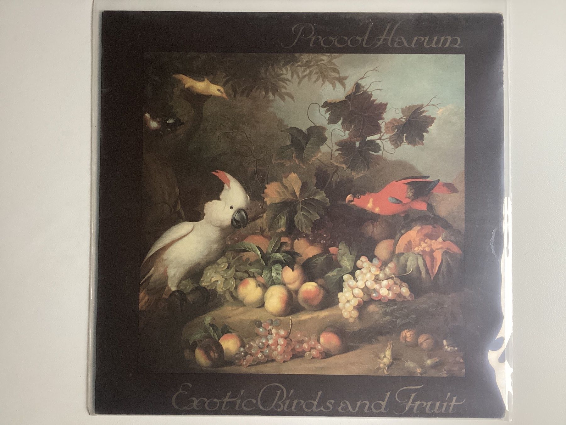 Dischi in vinile: Procol Harum LP - Exotic Birds And Fruit – Usato da Gutenswil venduto da Hamzian