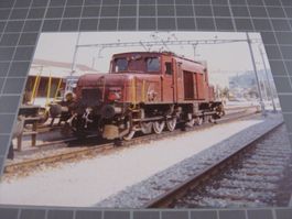 Foto Lenzburg mit Seetal Krokodil