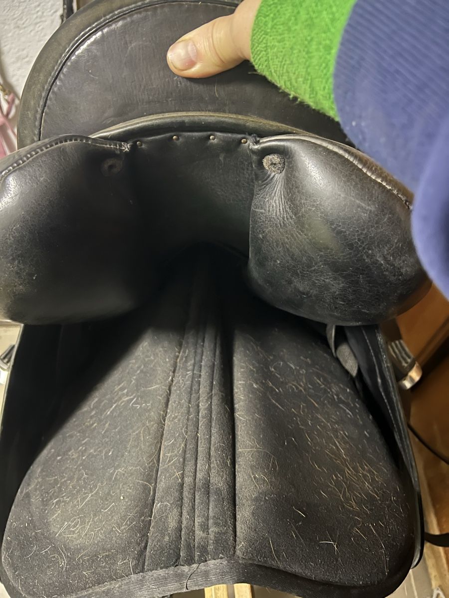 Selle & Accessori: Maxflex Dressursattel – Usato da Oberrindal venduto da Patowanne 1