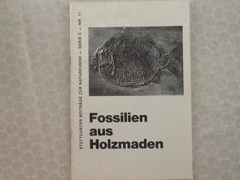 Libri: Fossilien aus Holzmaden – Usato da Olten venduto da smiples