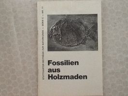 Fossilien aus Holzmaden