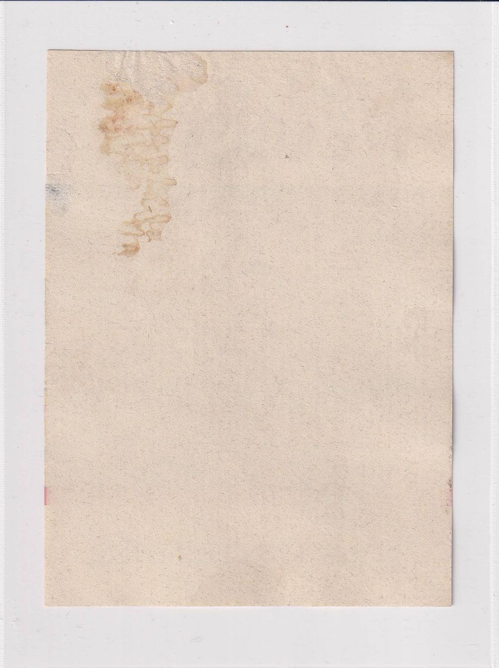 Carta: Etikette für Wein - Rafzer /bd – Usato da Hombrechtikon venduto da Rudolf07 1