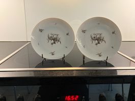 2 Dessertteller Porzellan Rosenthal Wiinblad Romanze Korb