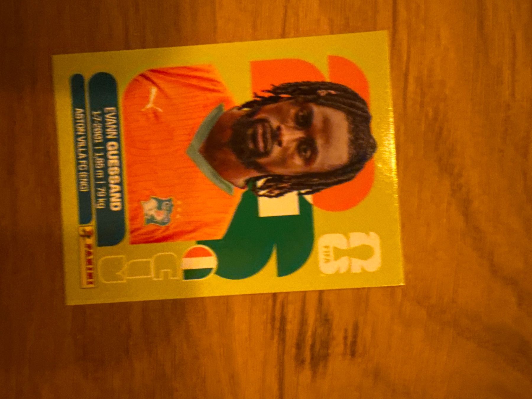 Panini Sammelbilder & Trading cards: Panini – Gebraucht aus Langnau i. E. von Acrjl