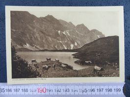 ENGELBERG-TRÜBSEE KUH-HERDE AK ONW ECHT KUPFERDRUCK