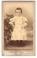 Fotografie E. Oetiker, Wald, Bahnhofstra