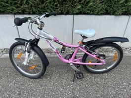 Kinderfahrrad Specialized Hotrock 20 Zoll weiss rosa