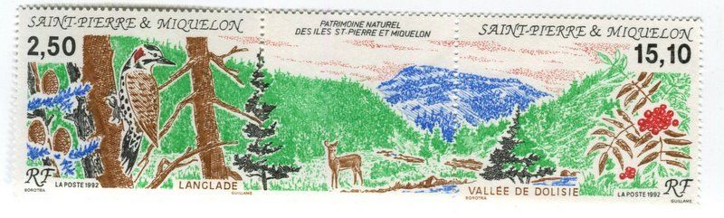 Flagge Von St. Pierre Und Miquelon (Frankreich) – Neu, Wetterfest & UV-beständig
